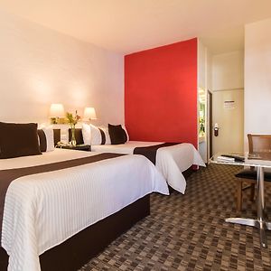 Dog Friendly Room